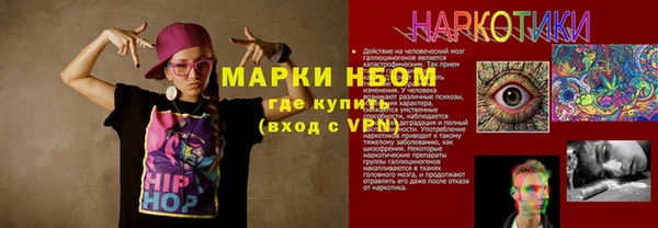 шишки Армянск
