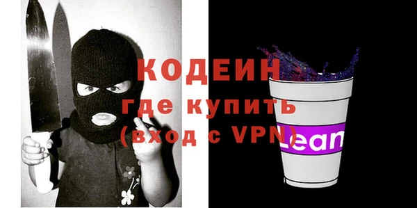 молекула духа Арсеньев