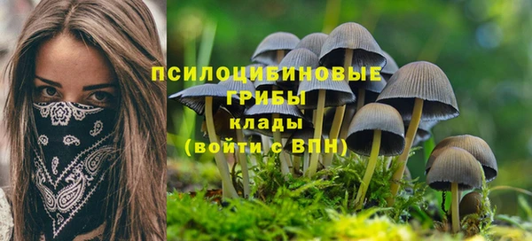 шишки Армянск