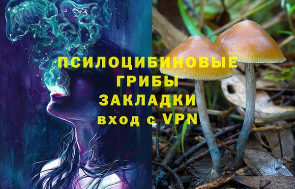 молекула духа Арсеньев