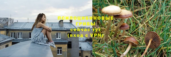 шишки Армянск