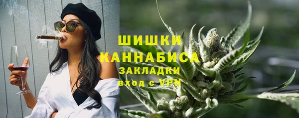 молекула духа Арсеньев