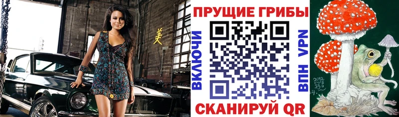 Купить закладки  Темников  Галлюциногенные грибы MAGIC MUSHROOMS 