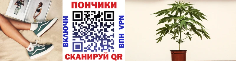Купить  Темников  МАРИХУАНА LSD WEED 
